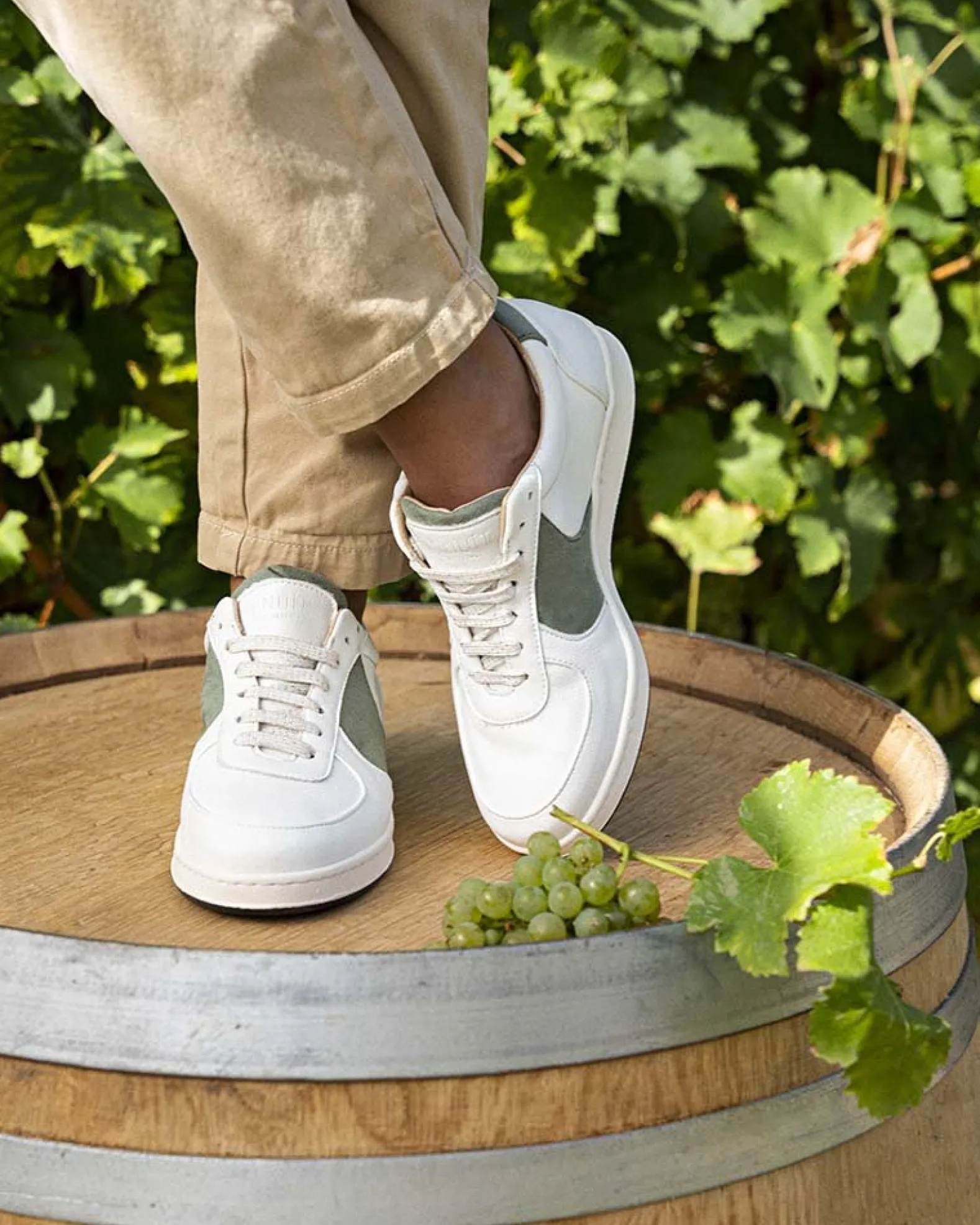 Cépage Chardonnay