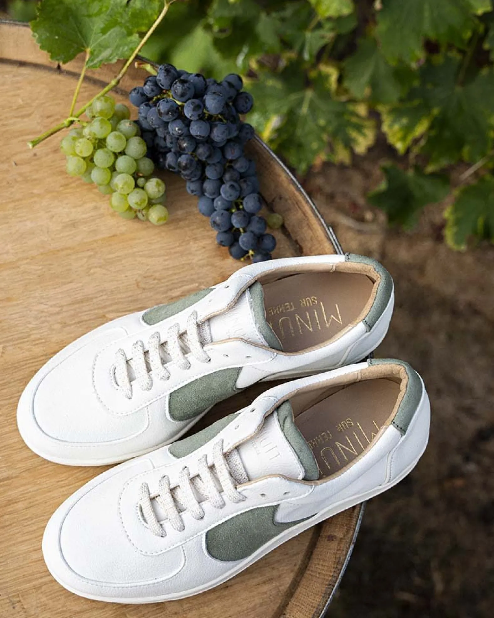 Cépage Chardonnay
