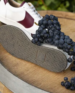 Cépage Merlot