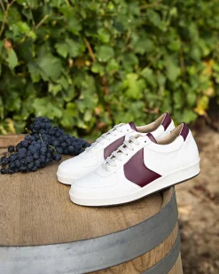 Cépage Merlot