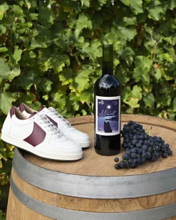 Cépage Merlot